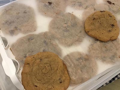 chocolate chip cookies