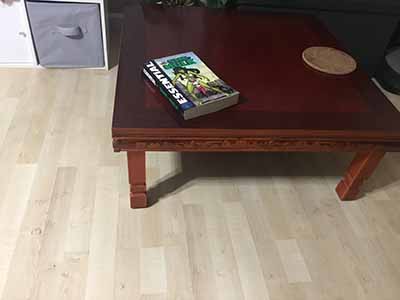 Essential She-Hulk comic book