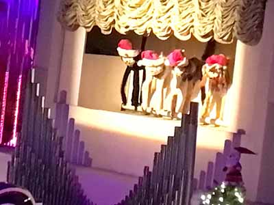 Organ Stop Pizza