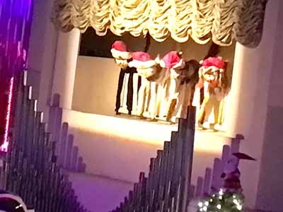 Organ Stop Pizza