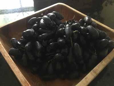moon drop grapes