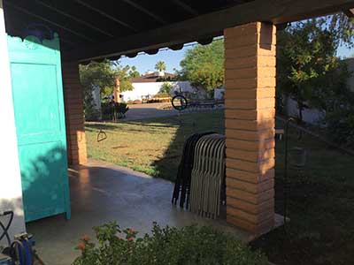 back yard