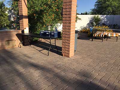 back yard
