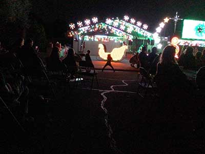 crowd at Christmas lights show