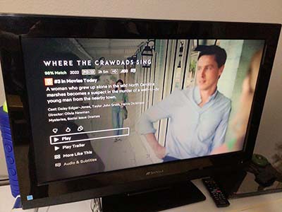 Where the Crawdads Sing film on TV screen
