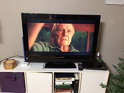 Where the Crawdads Sing film on TV screen: Tate holding necklace