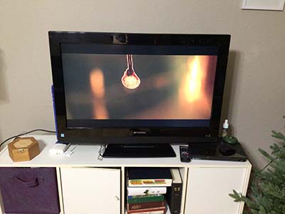 Where the Crawdads Sing film on TV screen: the seashell necklace
