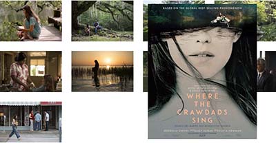 book club selection: Where the Crawdads Sing, image for movie meetup