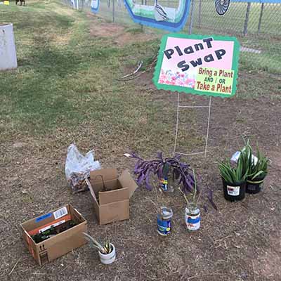 plant swap