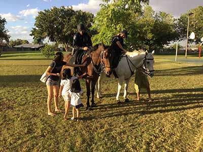 equestrian police