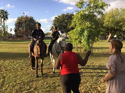 equestrian police