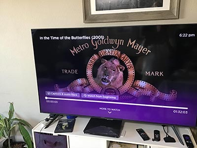 TV showing movie: In the Time of the Butterflies
