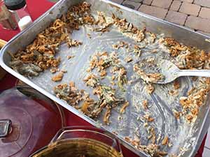 neighbors gather at for Thanksgiving Day potluck dinner