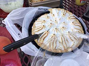 neighbors gather at park for potluck dinner birthday party