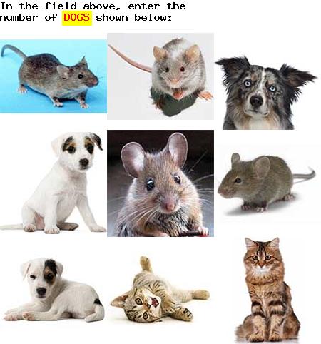 captcha to verify human, not robot