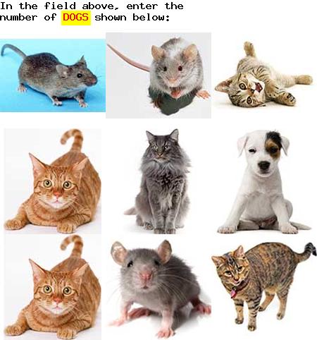 captcha to verify human, not robot